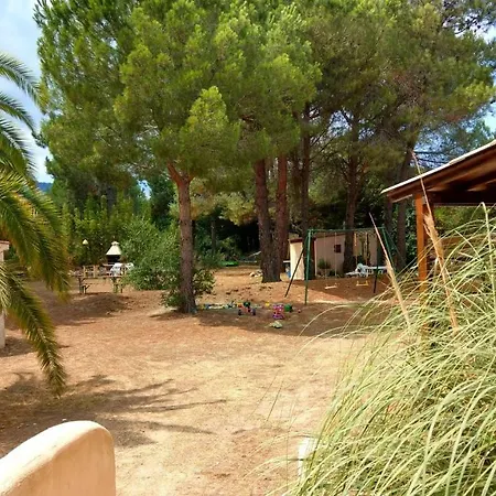 Cigale 1_allocigale Argeles-sur-Mer